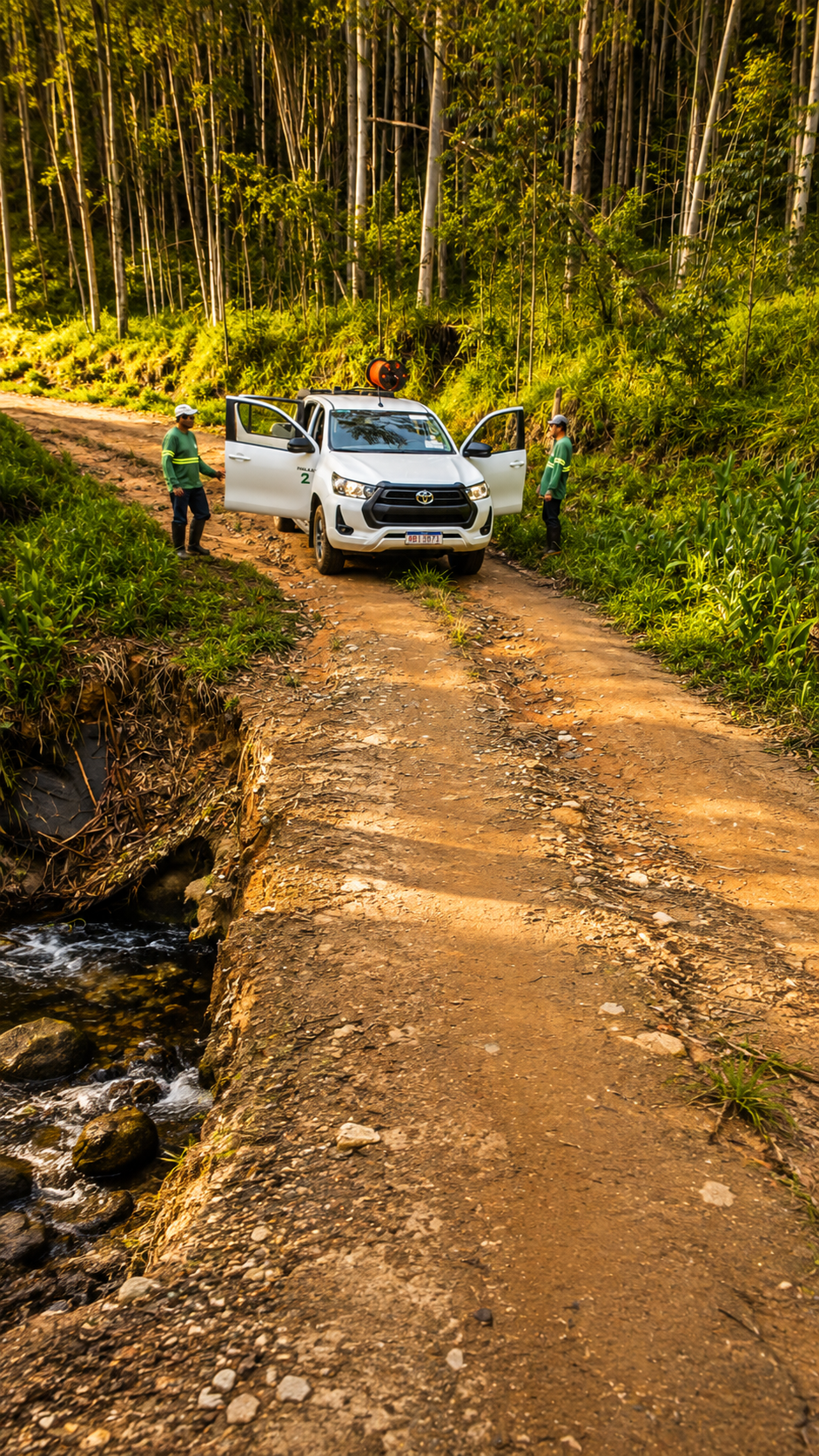 Caminhonete florestal em operação